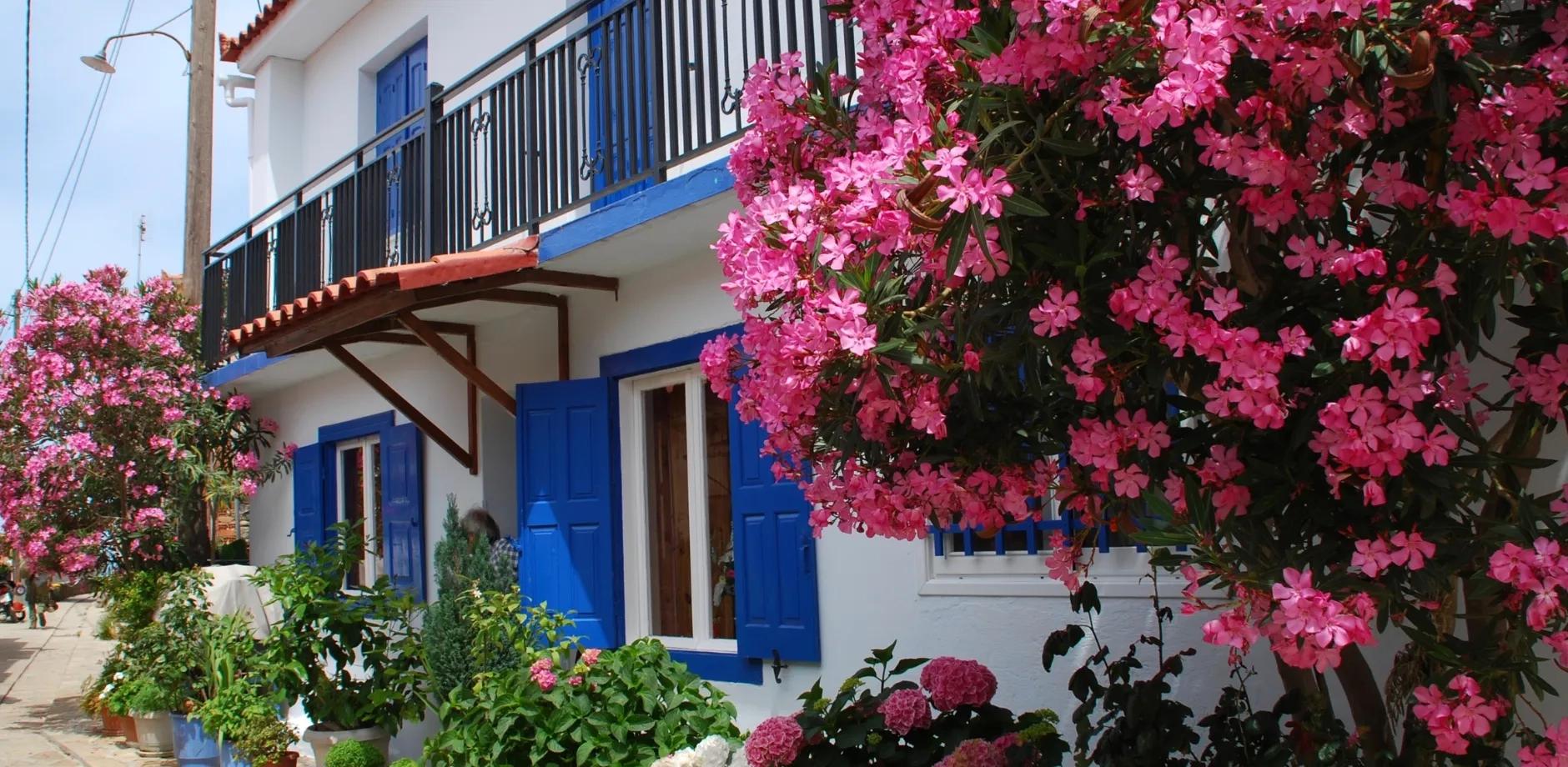 Samos Adası Feribot Bileti - 4